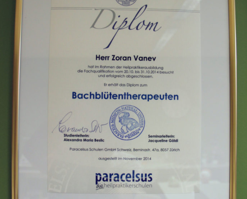 AUSLEITENDE VERFAHREN