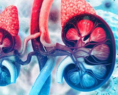 AKUTE NIERENINSUFFIZIENZ